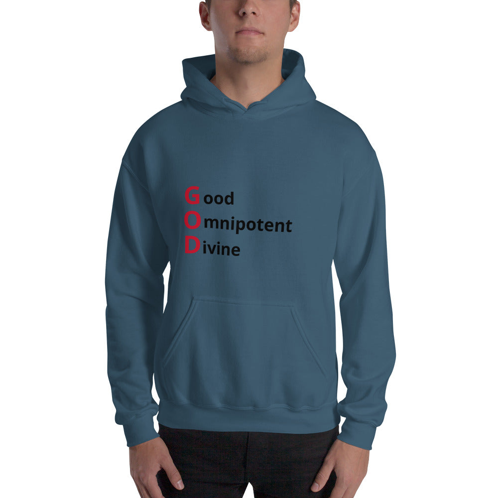 Faith Based Christian Unisex Hooded Sweatshirt for Men and Women