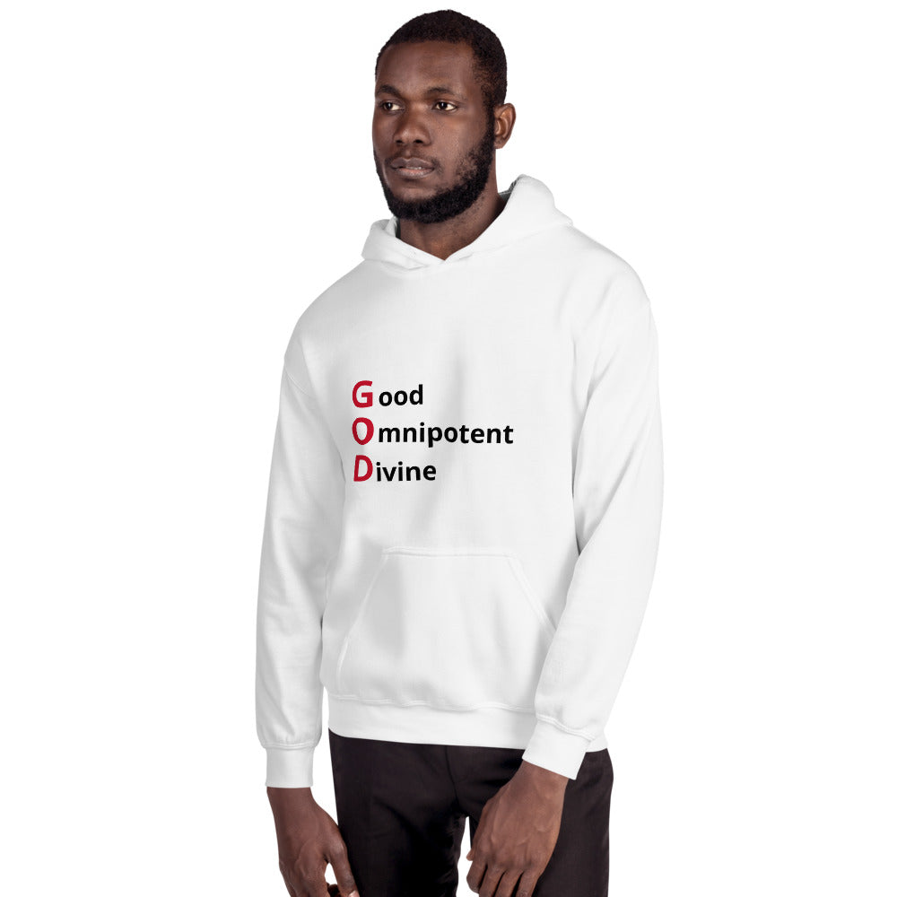 Faith Based Christian Unisex Hooded Sweatshirt for Men and Women
