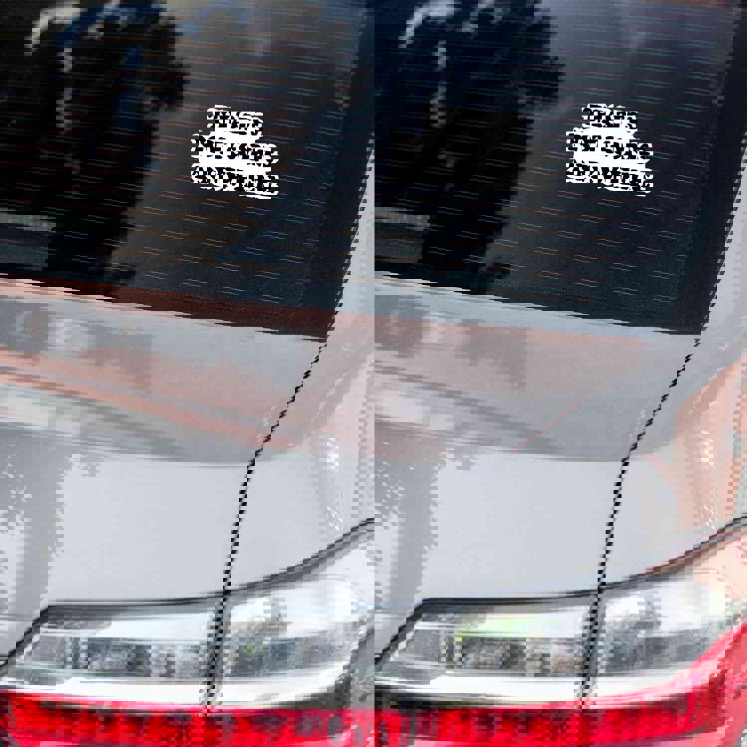 That's Not Going Anywhere Vinyl Sticker