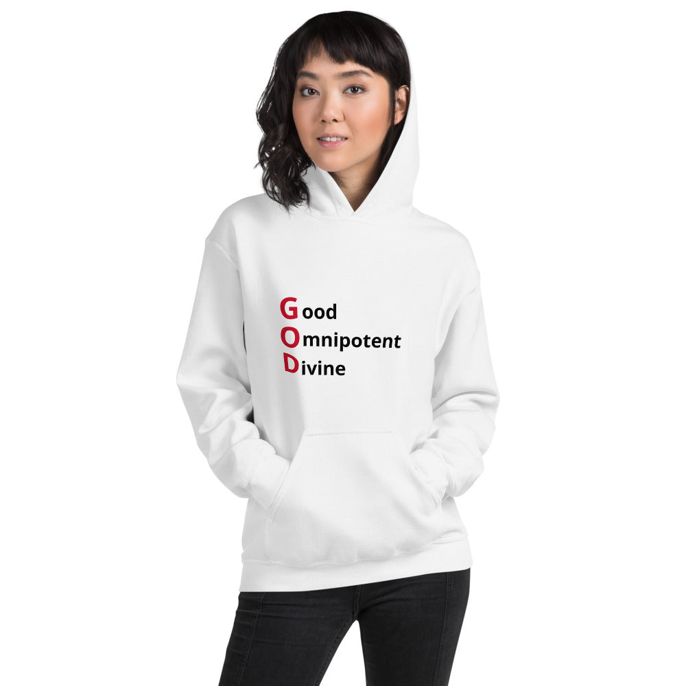 Faith Based Christian Unisex Hooded Sweatshirt for Men and Women